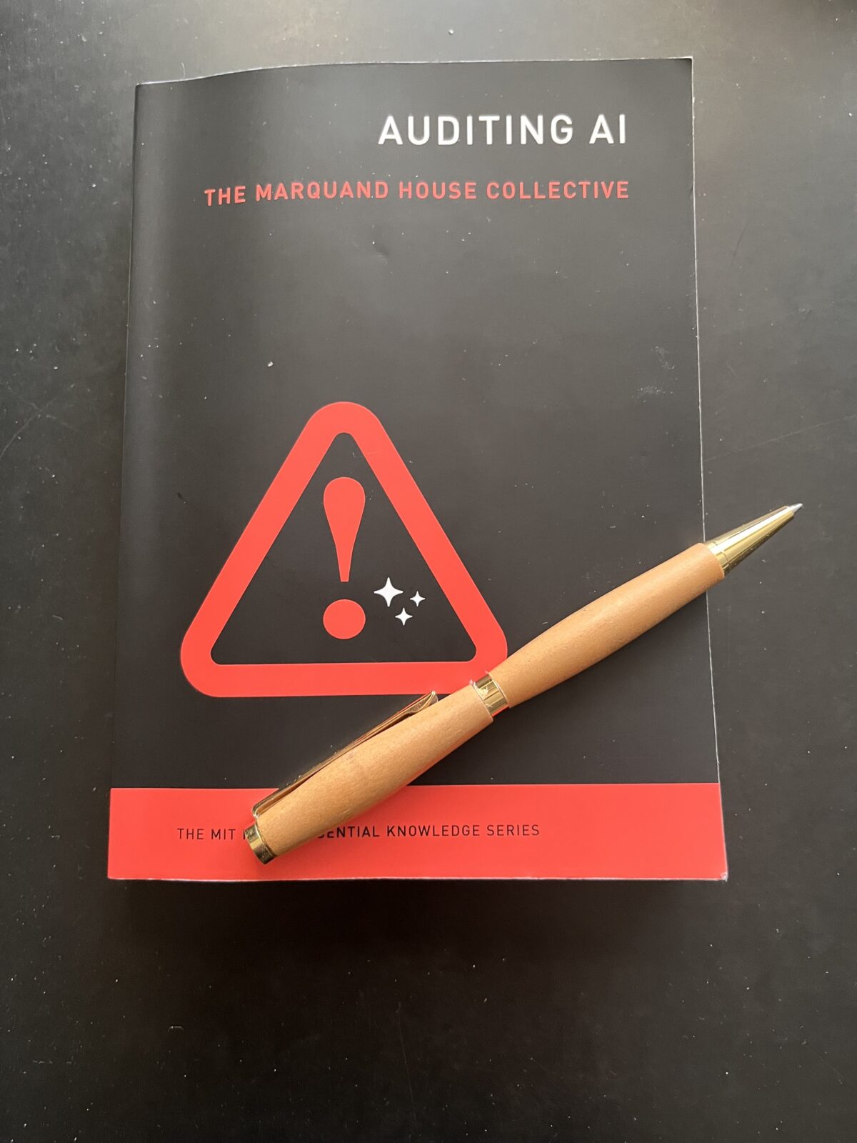 Cover of "Auditing AI"